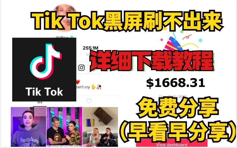 tiktok怎么没刷粉丝,TikTok没刷粉丝，你也可以轻松打造爆款视频!